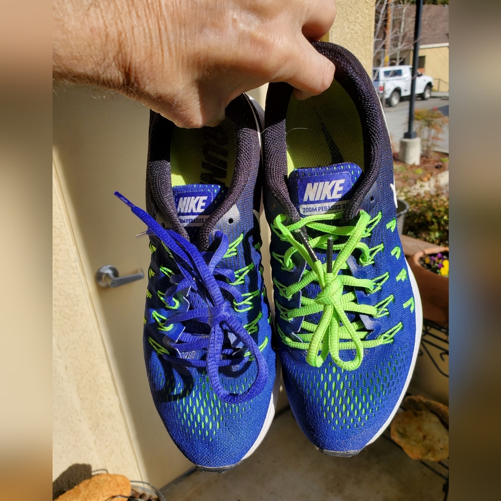 Nike Men’s Blue/Green/Black Air Pegasus 33